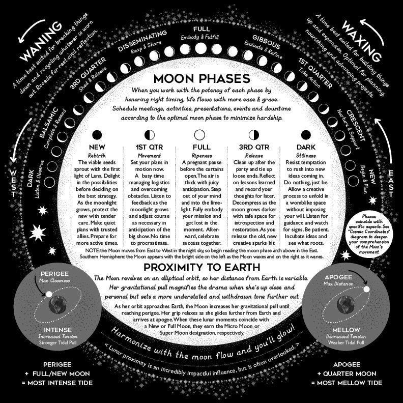 Cosmic Clock Undated 12 Month Workbook - Spiral Spectrum